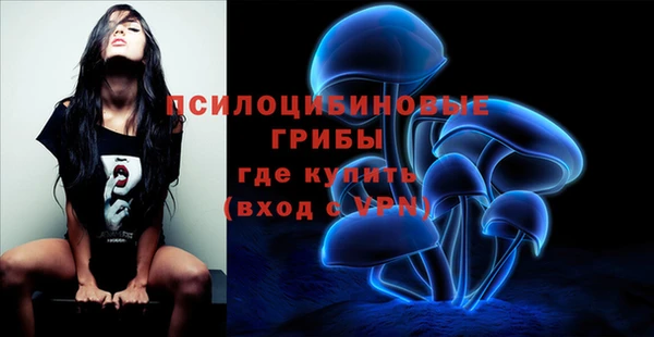 крисы Аркадак