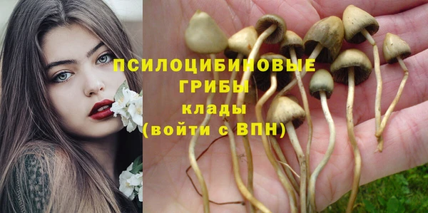 гашик Армянск