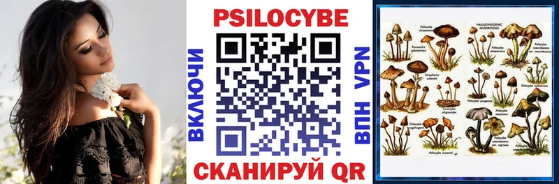 Купить  Нижний Ломов  Псилоцибиновые грибы ЛСД 