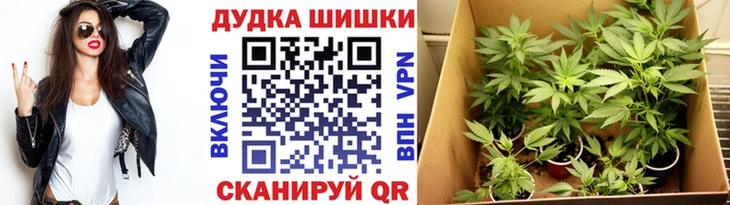 Купить  Нижний Ломов  Бошки Шишки марихуана 